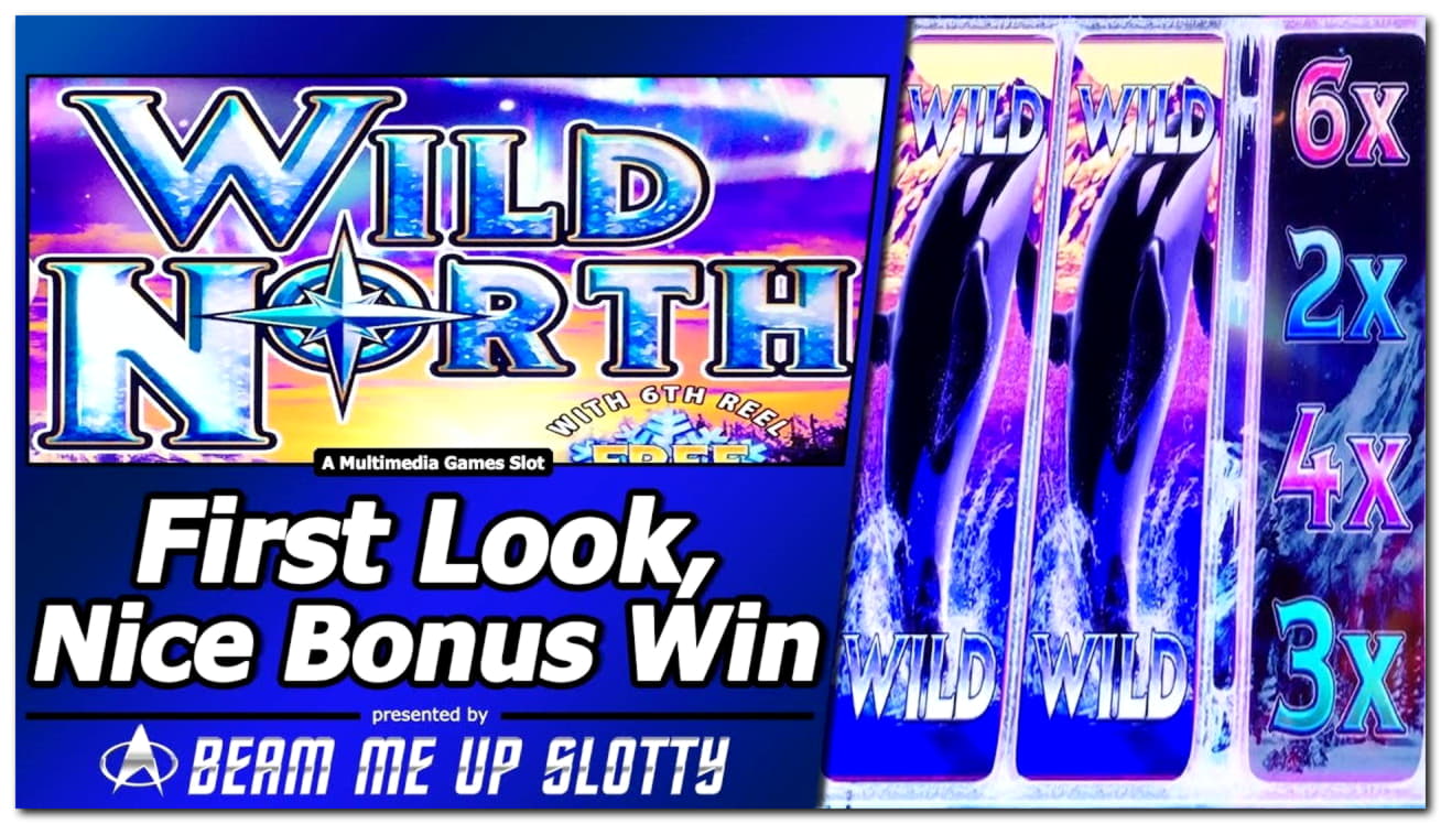 265 Loyal Free Spins! at Slotty Dubai Casino