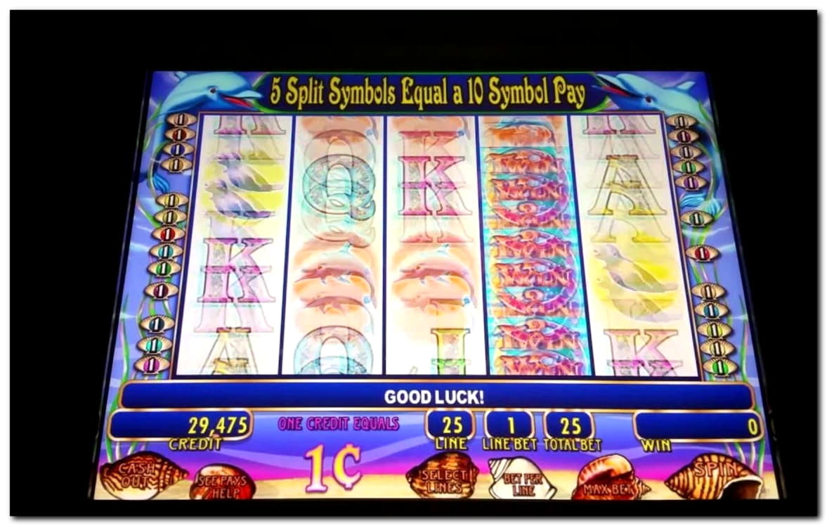 44 free spins no deposit casino at Spin Palace Casino