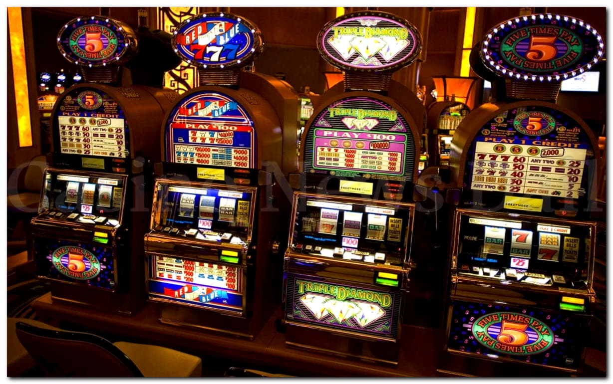 ﻿$222 Daily freeroll slot tournament at Casino Cruise