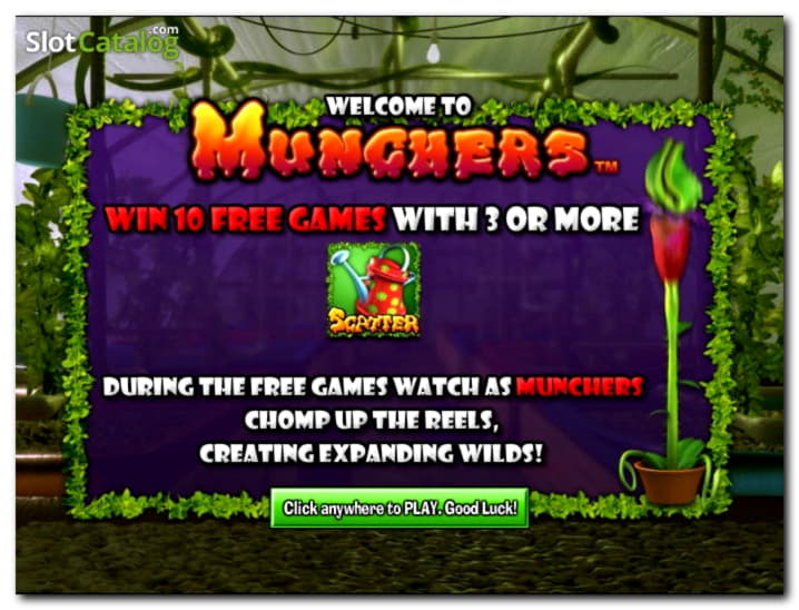77 Free Casino Spins at Spins Royale Casino