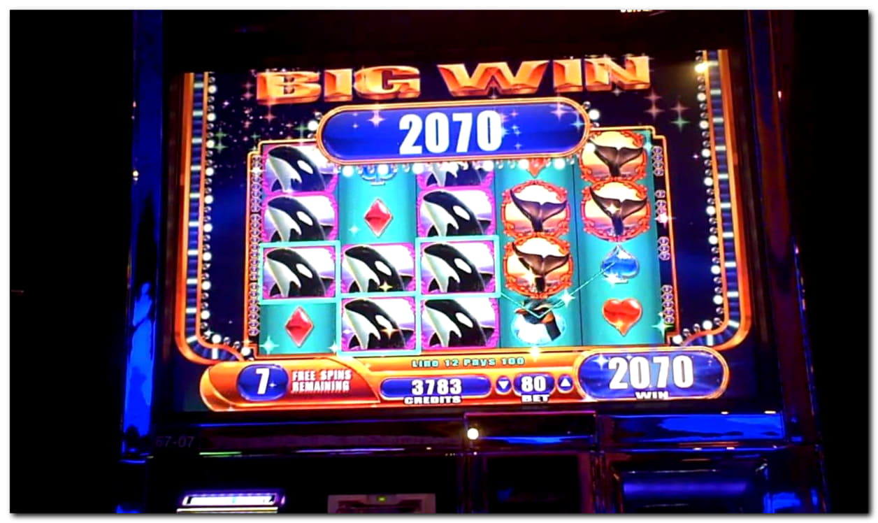 250 Loyalty Free Spins! at bWin Casino