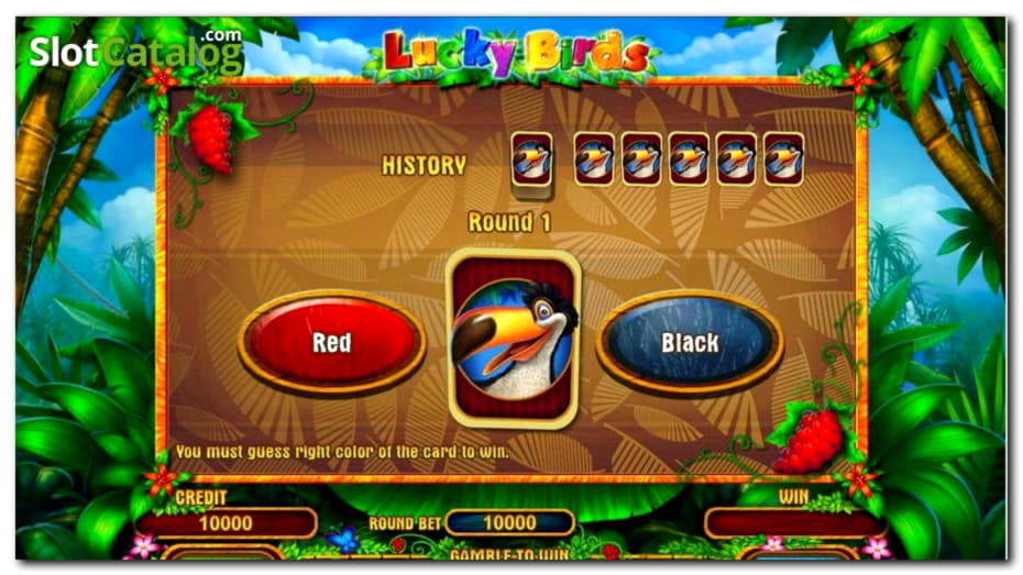 45 free casino spins at CasiPlay Casino