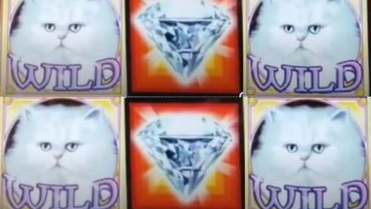 AMAZING BONUSES * Kitty Glitter Slot Machine ? COLLECTING DIAMONDS! | German Casino Countess