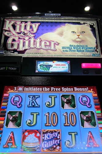Close up of Kitty Glitter