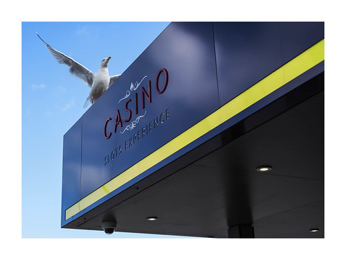 Hastings Casino and Slots