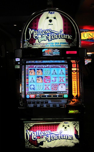 Maltese Fortune