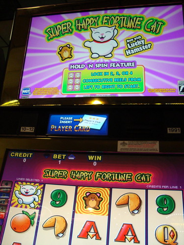Super Happy Fortune Cat!!