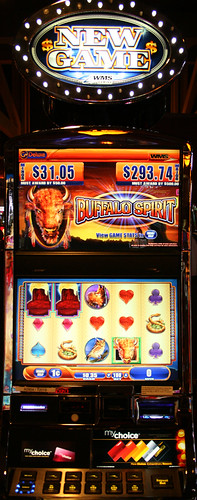 buffalo spirit