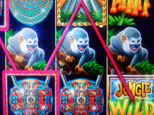 monkey win!