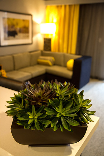 Casino-Hotel-Room