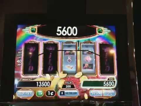 Wild payout on Wizard of Oz slot machine