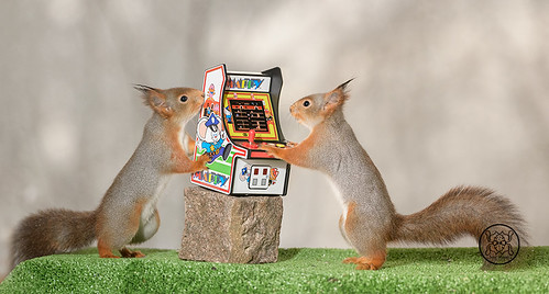 red squirrels standing with a Slot Machine