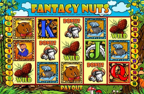 winward video slots fantacy nuts 25