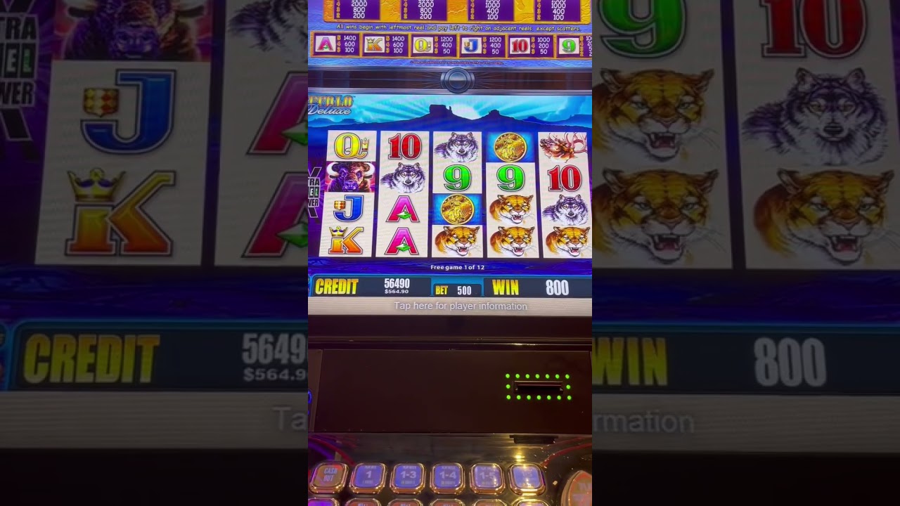 Bonus on Buffalo Deluxe Slot Machine! ?☄️?⭐️?? (part 1) #slot #slotmachine #German Casino #slots