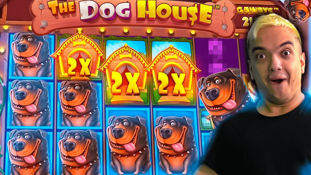 MEGA 3,000 SLOT WIN ON DOG HOUSE MEGAWAYS! #slots #German Casino #shorts