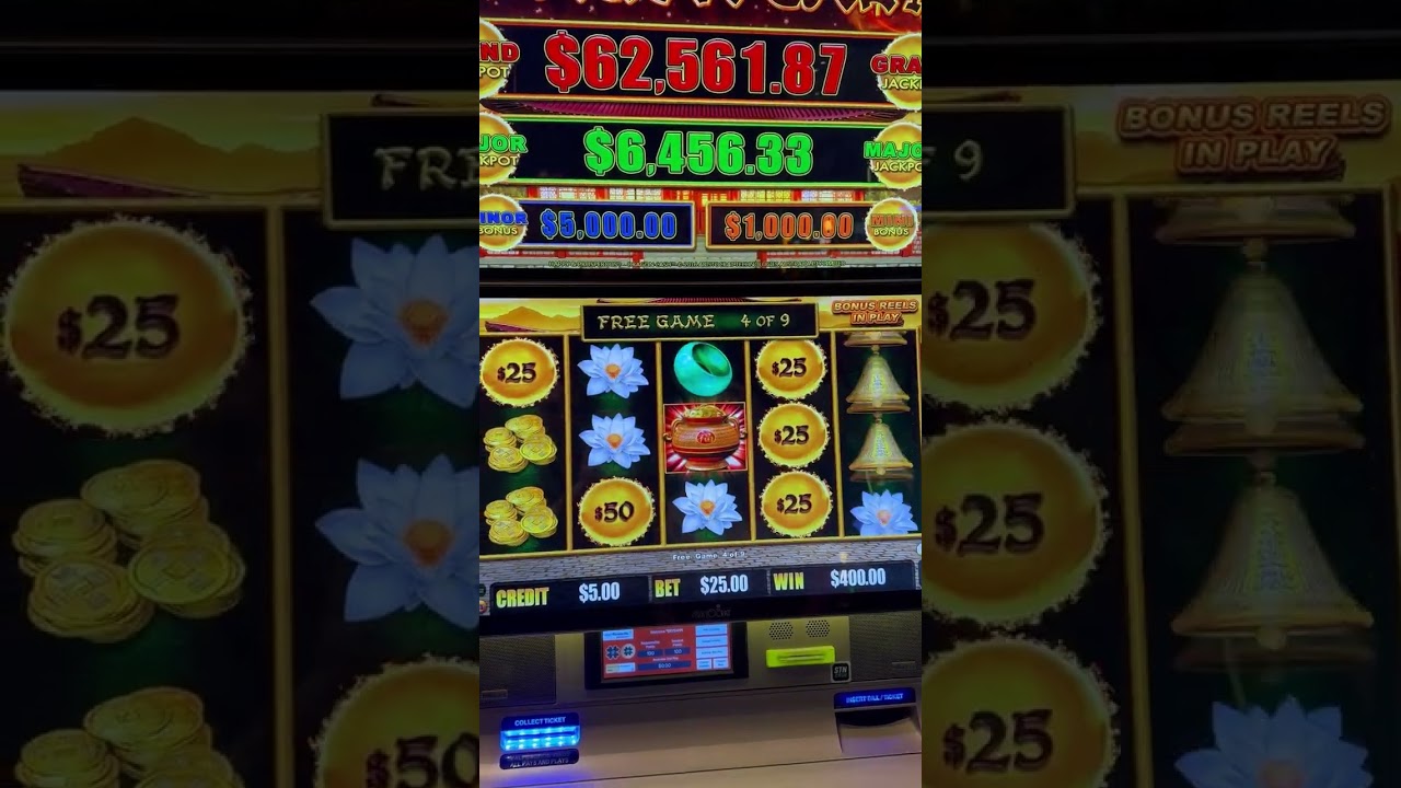  Bets landed me this! #shorts #German Online Casinos #gambling #slots #bigbank #pinupcasino #highlimitslots