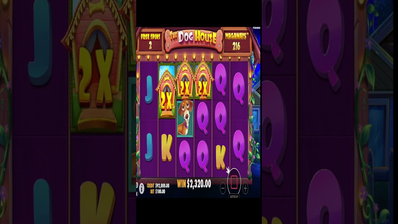 The Dog House Megaways Bonus Buy – Big Win German Casino Slot #shorts